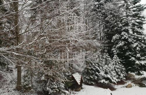 Rodzinny Dom Wypoczynkowy - Foto 10