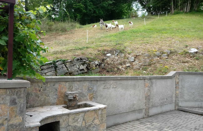 Valley View Holiday Home Mrak With Sauna - Foto 44