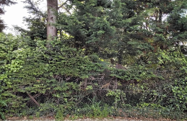 Charming Chalet in the Midst of Nature - Foto 24