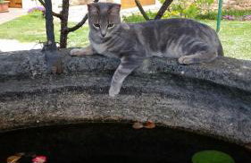 Holiday Home Old Barn - Foto 19