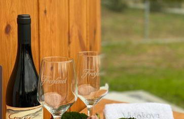 Dom z balią na Kaszubach-Widokova - Foto 4