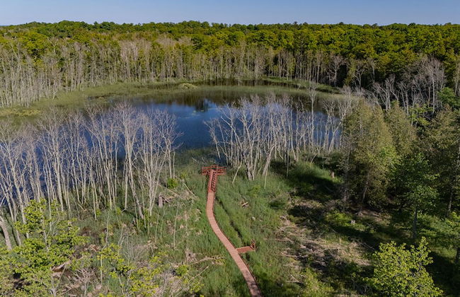 The Rushes - Foto 50