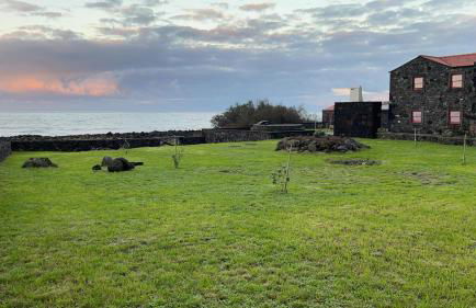 Kuanza Nature Experience, Fajã do Belo - Foto 68