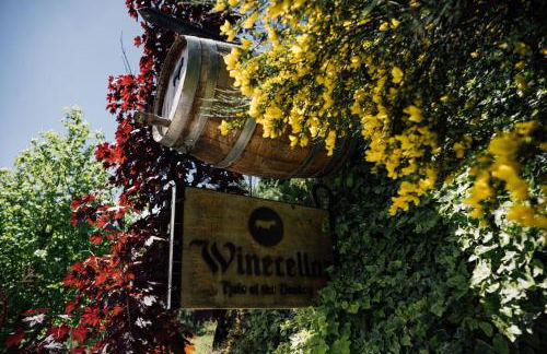 Quinta da Mal-disposta, cabin lodge Countryhouse - Foto 29