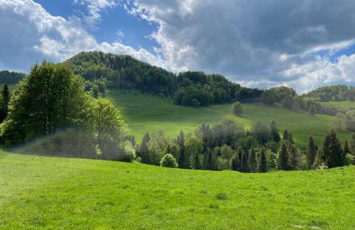 Apartament Franio - Photo 47