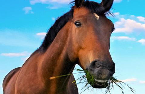 Haus am Berg - Photo 26