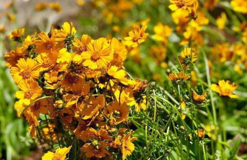 The Craftsman Farmhouse with Modern Flair - Photo 35