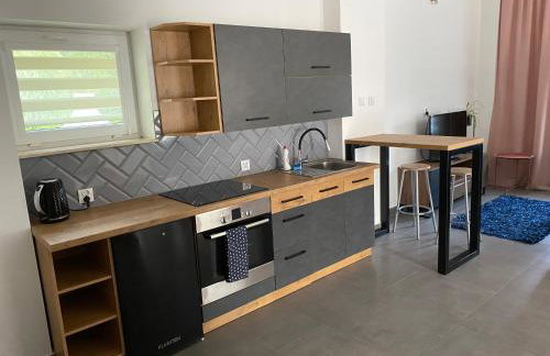 Apartamenty pod Wierzbami - Foto 7