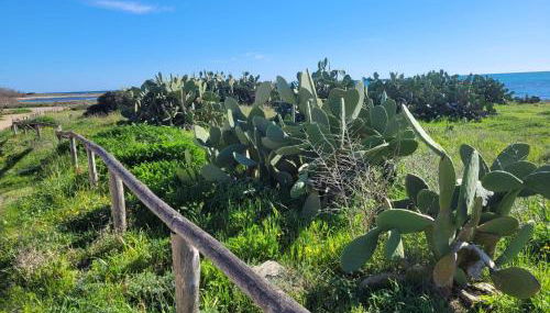 Appartamento Demetrio 50m mare & shopping - Foto 5