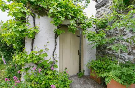 Ty Fry Cottage - Foto 50