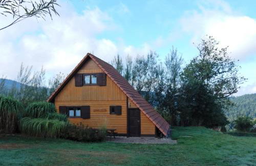 Chalet in Dabo near Castle Ruins - Photo 10