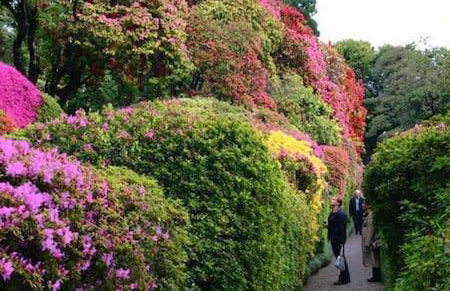 Casa di Sofia e Oscar Lago di Como Canzo - Foto 51