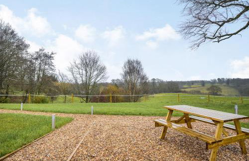 Coton - Ukc5324 - Photo 11