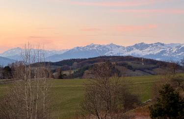 Les Chatcureuils - Foto 26