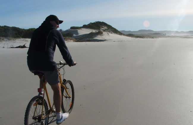 Seymour Waves - Photo 8