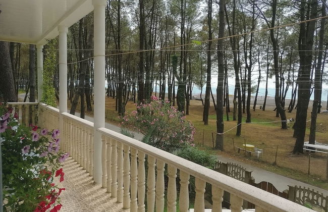 House by the sea Kaprovani Shekvetili Batumi - Photo 29