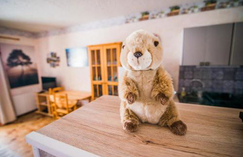 Les Campanules - Photo 8