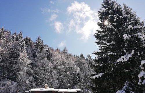Andalo Chalet - Photo 30