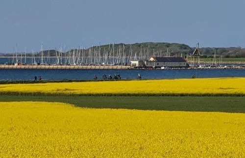 Ferienwohnung Hafenblick Ferienhof Geltinger Bucht - Foto 45