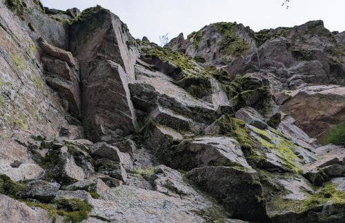 Badischer Neubau-Ruhe-Kunst-Natur - Foto 68