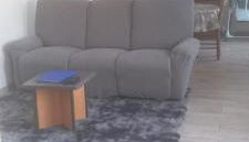 Le chant des oiseaux - Foto 3