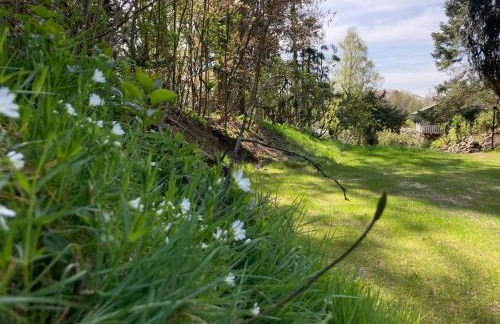 Ferienhaus Leezen - Foto 36