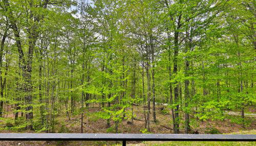 Ledges 19 at Hawk Mountain - Foto 4