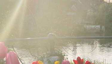 Le Gite de la Poterne, maison en bordure du Serein - Foto 5