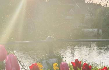 Le Gite de la Poterne, maison en bordure du Serein - Foto 5