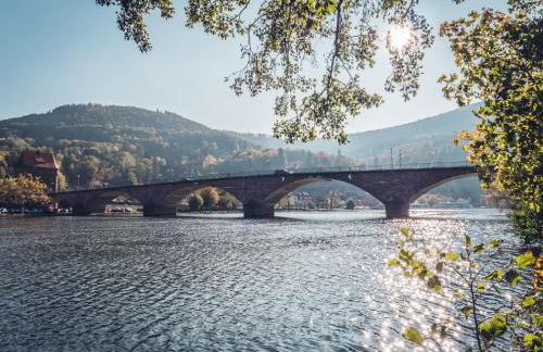 MAINTERRASSE Boardinghouse am Fluss klimatisierte Apartments mit 80qm Terrasse - Foto 48