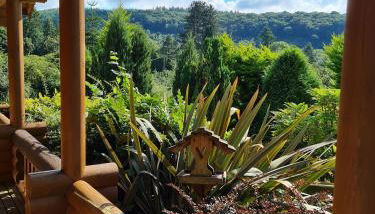 Countryside Log Cabin With Hot Tub - Beech - Foto 3