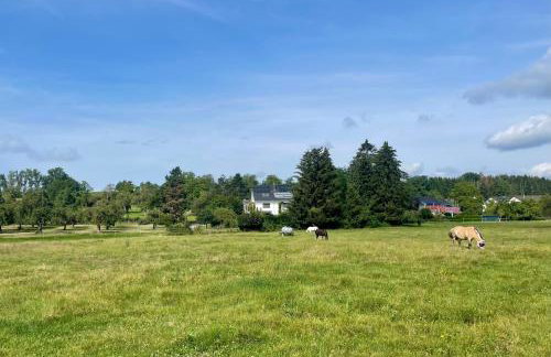 Studio im Grünen und Bodenseenähe - Foto 18