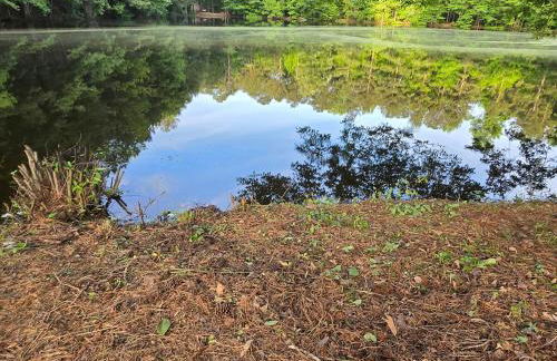 Serenity ASHLEY ENTERPRISE - Foto 17