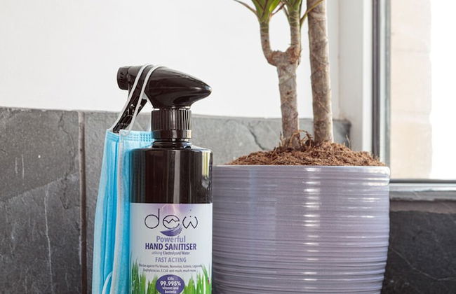 Laburnum By the Sea - Foto 18