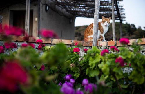 Case di Berto - Foto 77