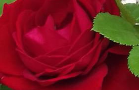 Agriturismo Cascina Knec - Photo 73