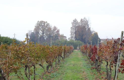 Le Magnolie Agriturismo - Foto 67