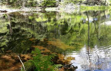 Ferienhaus Bayerwald - Foto 22