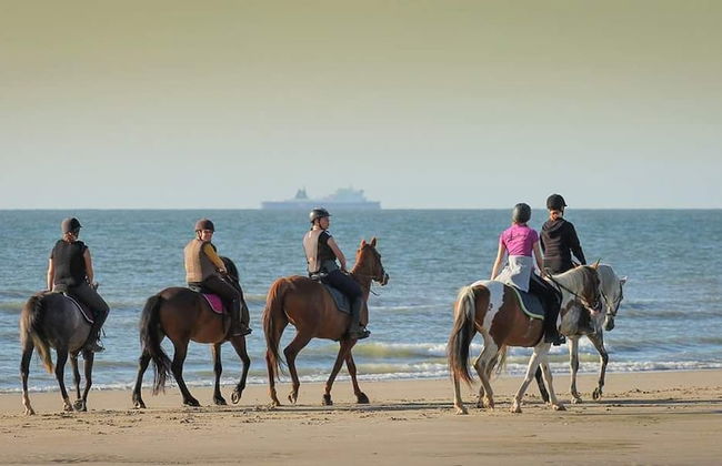Les Cabanes de Warincthun - Foto 64