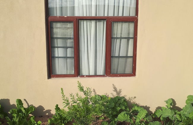 MafKing Apartments - Photo 4