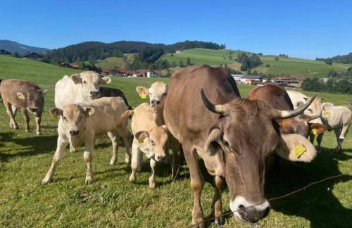 Ferienwohnungen Britta Heim - Photo 62