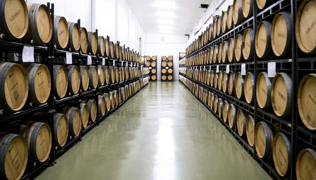 Visita a la bodega Valdelosfrailes - Foto 2, Visitando la bodega