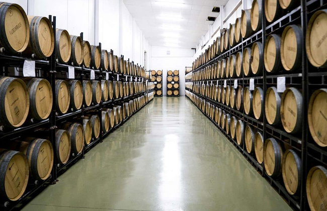 Excursão à adega Valdelosfrailes - Foto 2