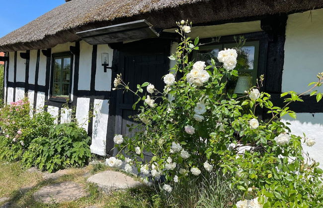 6 Person Holiday Home in Degeberga - Foto 31