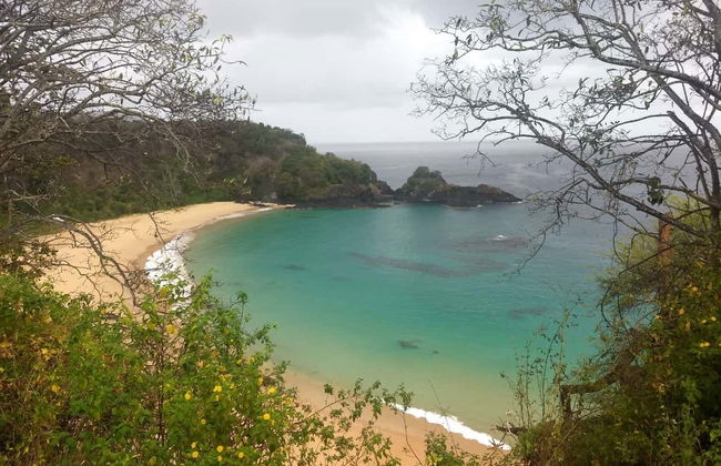 Visite complète de Fernando de Noronha - Photo 2