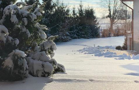 Apartamenty Euphoria - Foto 26