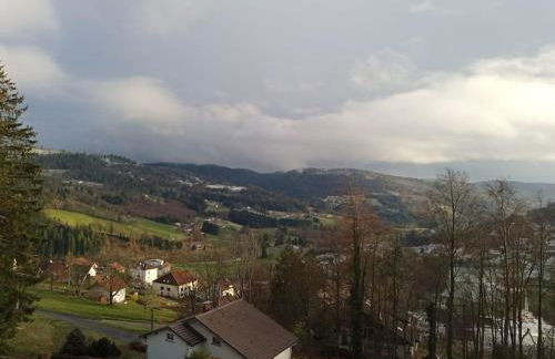 Duplex - Proche de Gérardmer - Foto 25