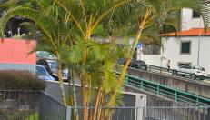 Casa da Praia - Foto 4