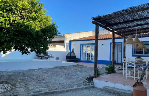 Wine under the Stars - Foto 4