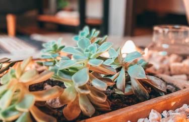 Sítio Aroeira Cabanas - Foto 51